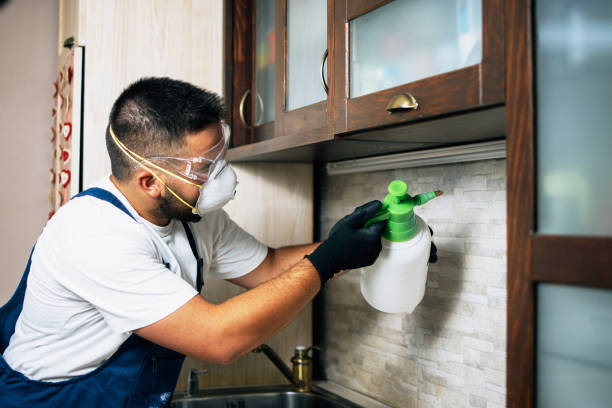 Best Cockroach Control Services  in Glen Allen, VA