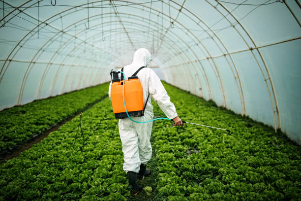 Best Local Pest Control Services  in Glen Allen, VA